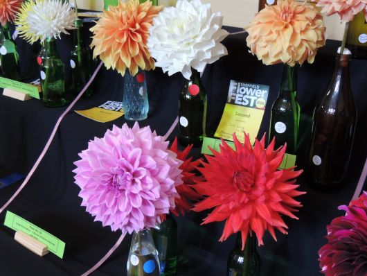 Flowershow in Sheffield